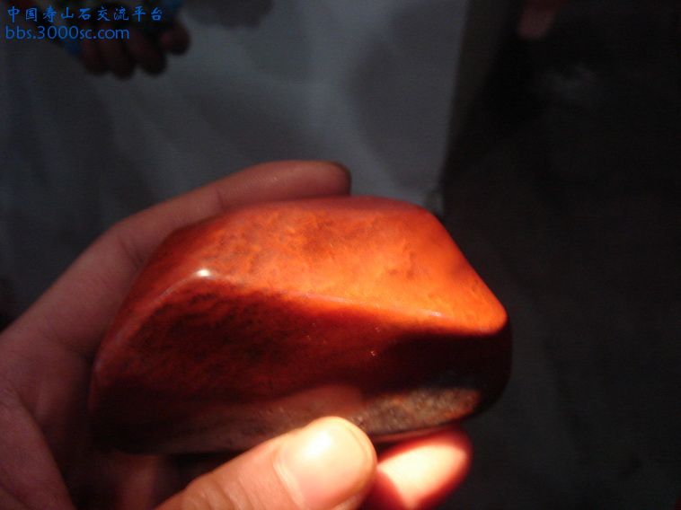 DSC01323_调整大小.JPG