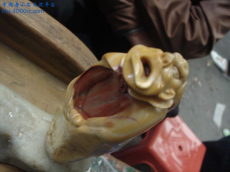 DSC01331_调整大小.JPG