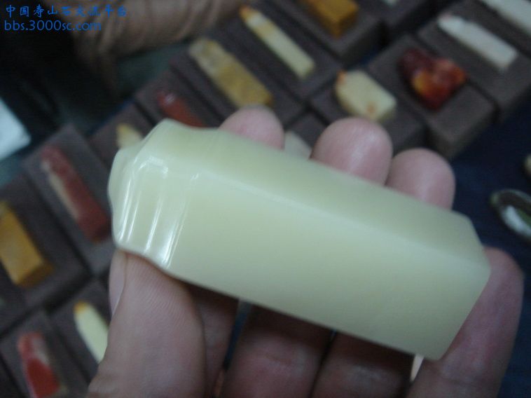 DSC01345_调整大小.JPG