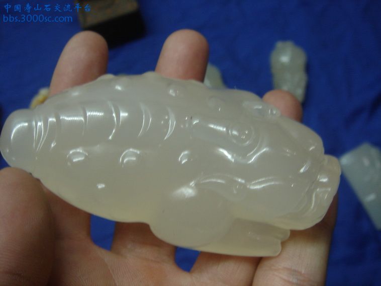 DSC01328_调整大小.JPG