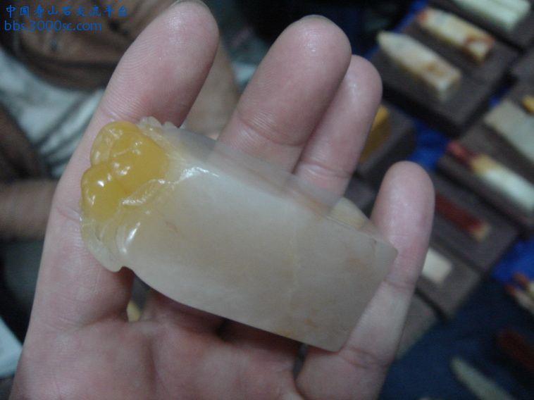 DSC01348_调整大小.JPG