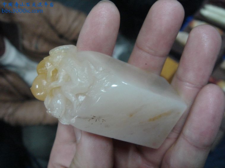 DSC01347_调整大小.JPG