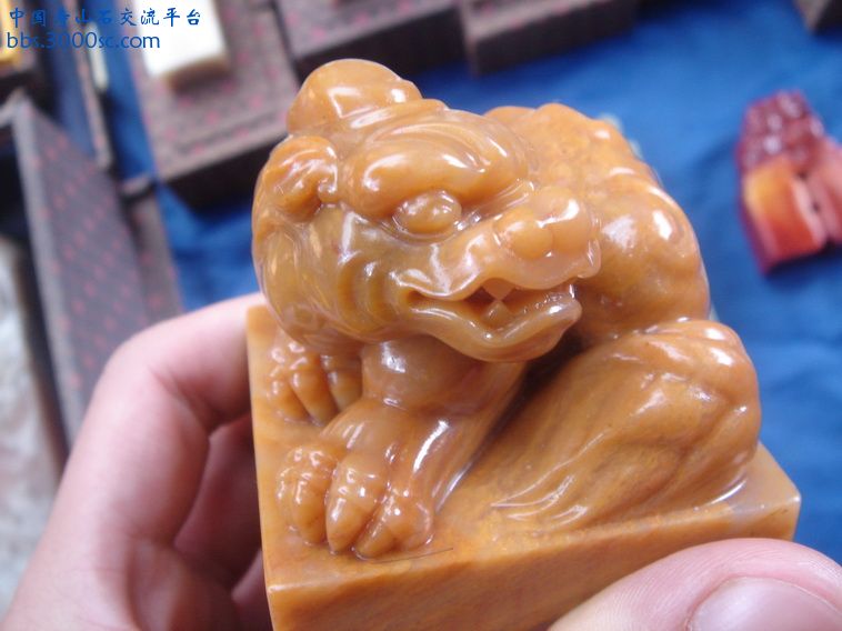 DSC01431_调整大小.JPG