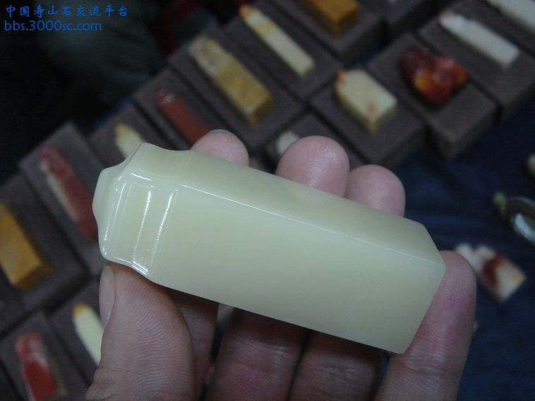 DSC01346_调整大小.JPG