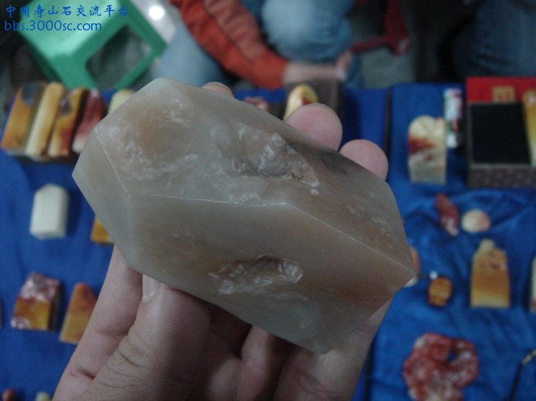 DSC01341_调整大小.JPG