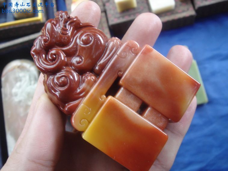 DSC01429_调整大小.JPG