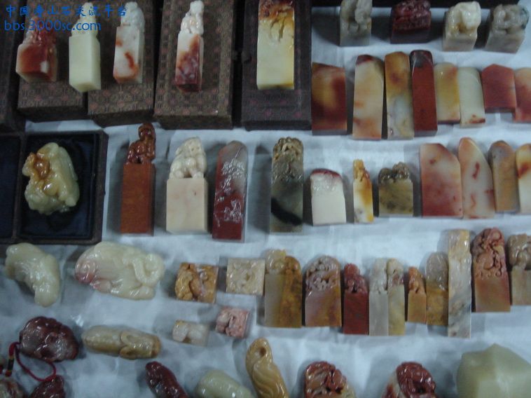 DSC01339_调整大小.JPG