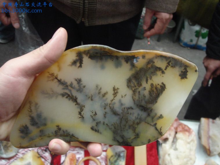 DSC01319_调整大小.JPG