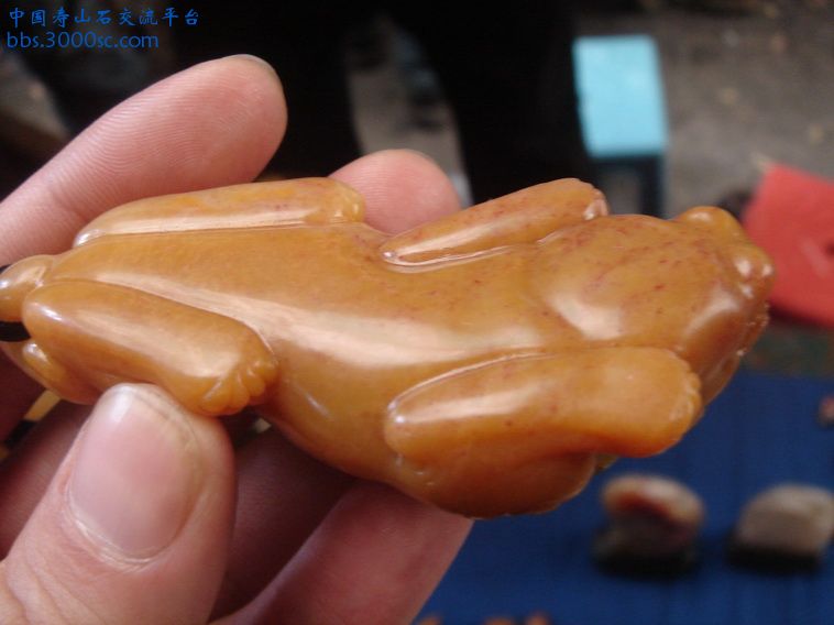 DSC01338_调整大小.JPG