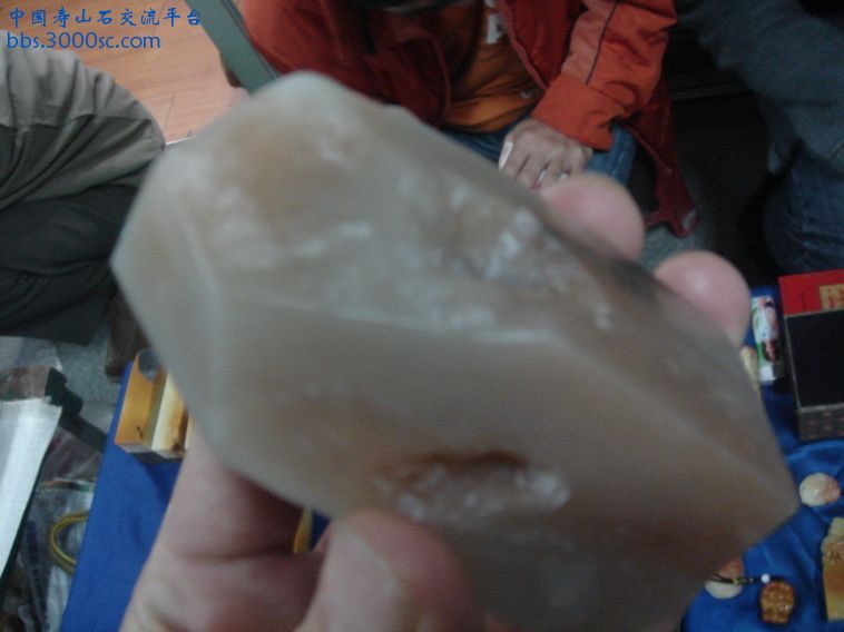 DSC01340_调整大小.JPG