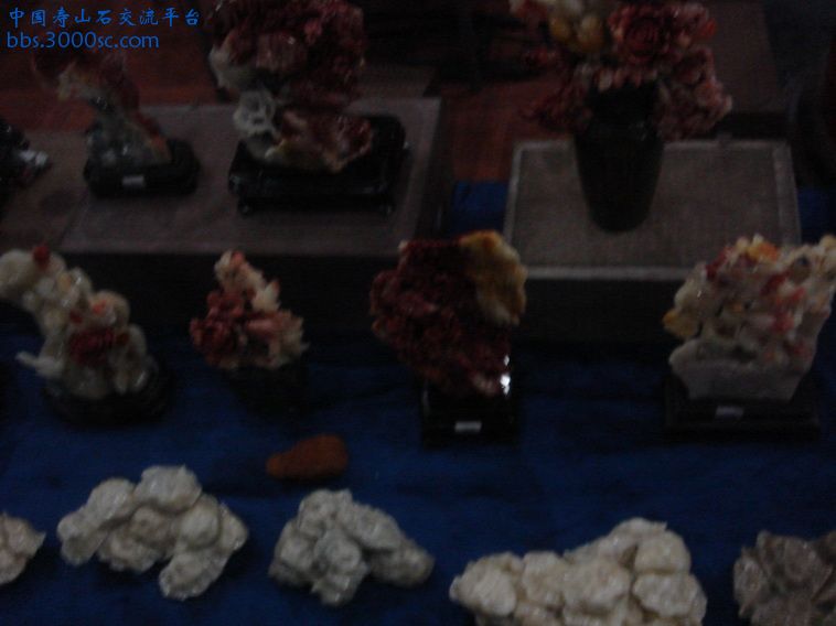 DSC01322_调整大小.JPG