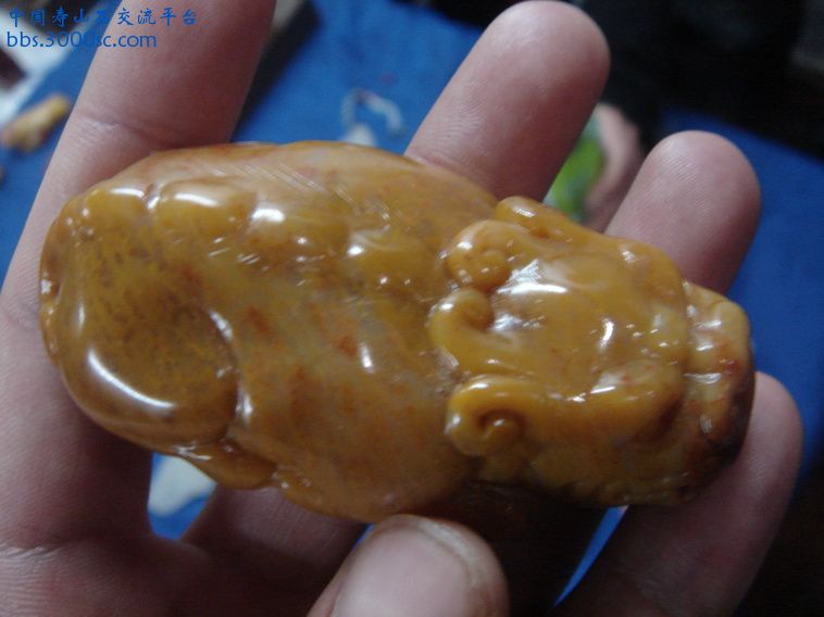 DSC01325_调整大小.JPG