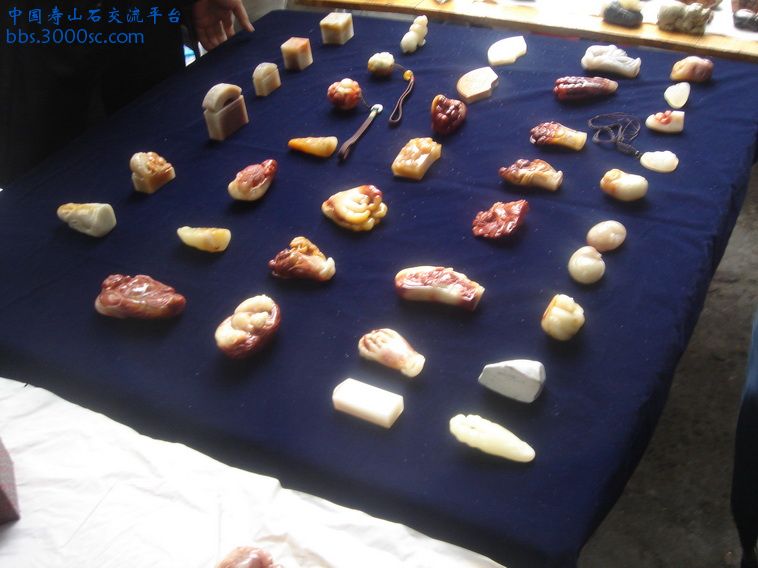 DSC01436_调整大小.JPG
