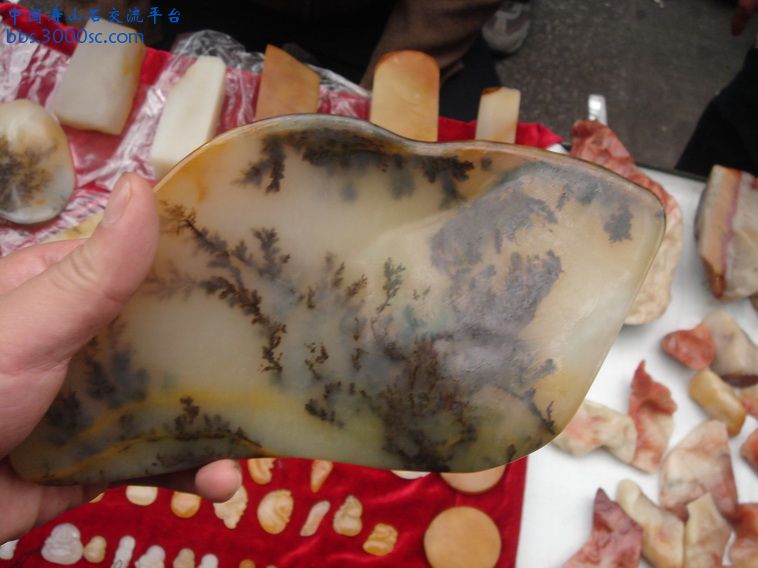 DSC01318_调整大小.JPG