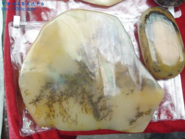 DSC01317_调整大小.JPG