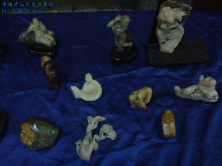 DSC01321_调整大小.JPG