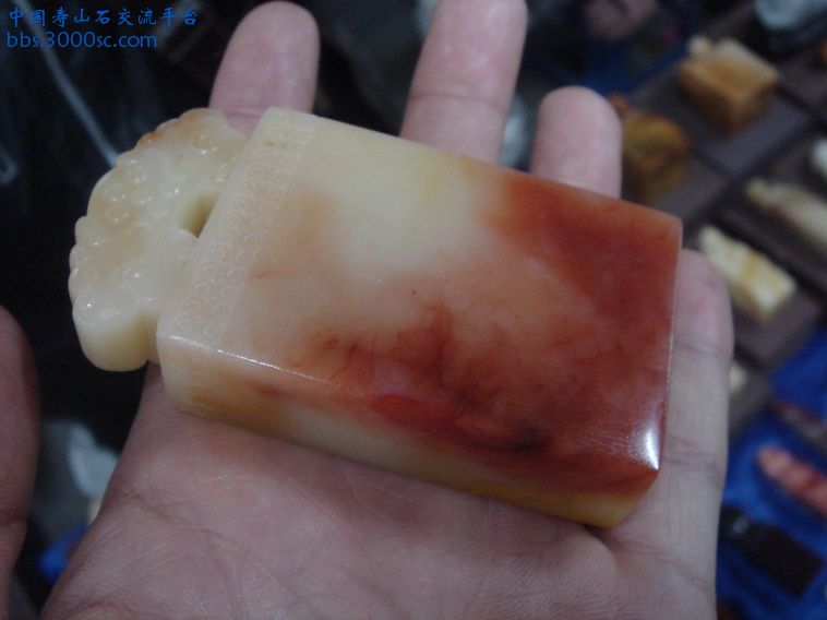 DSC01350_调整大小.JPG