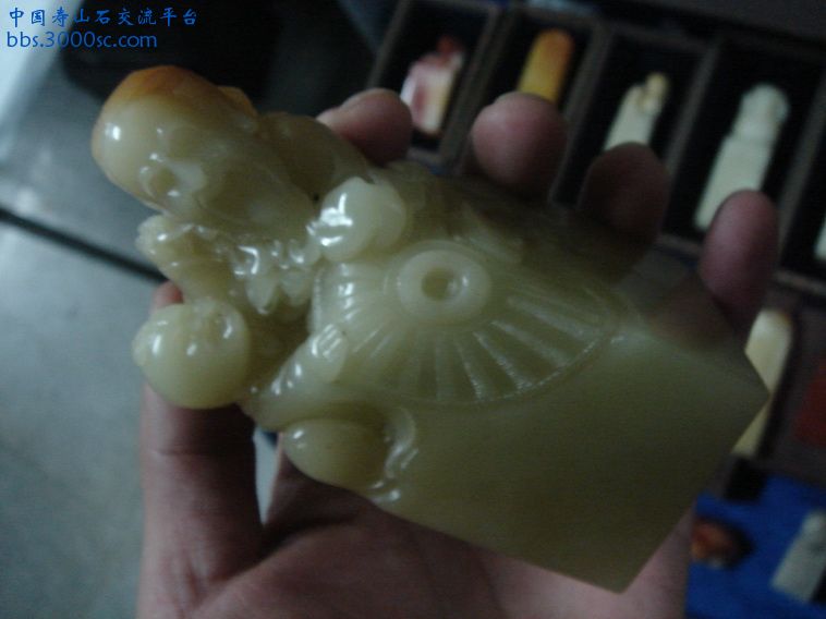 DSC01359_调整大小.JPG