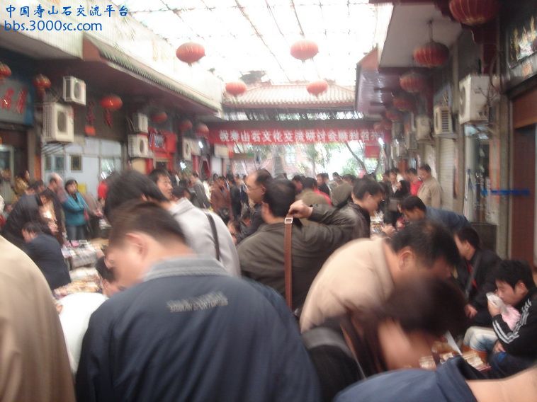 DSC01362_调整大小.JPG