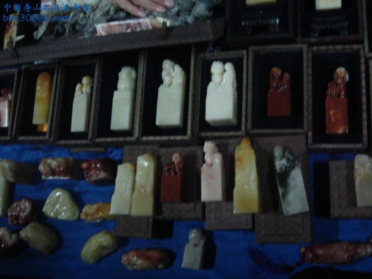 DSC01361_调整大小.JPG
