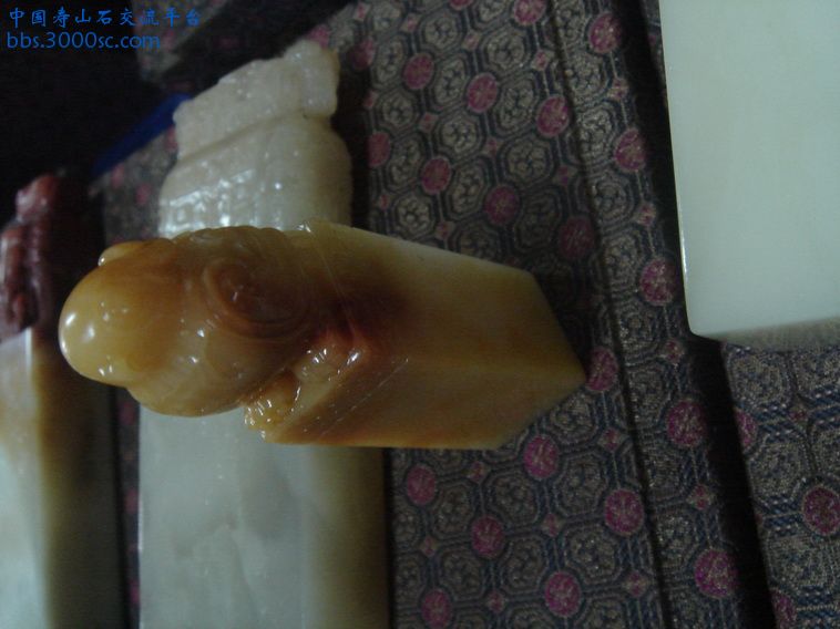 DSC01357_调整大小.JPG