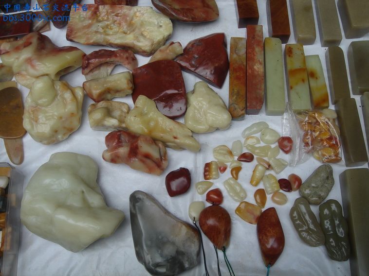 DSC01371_调整大小.JPG