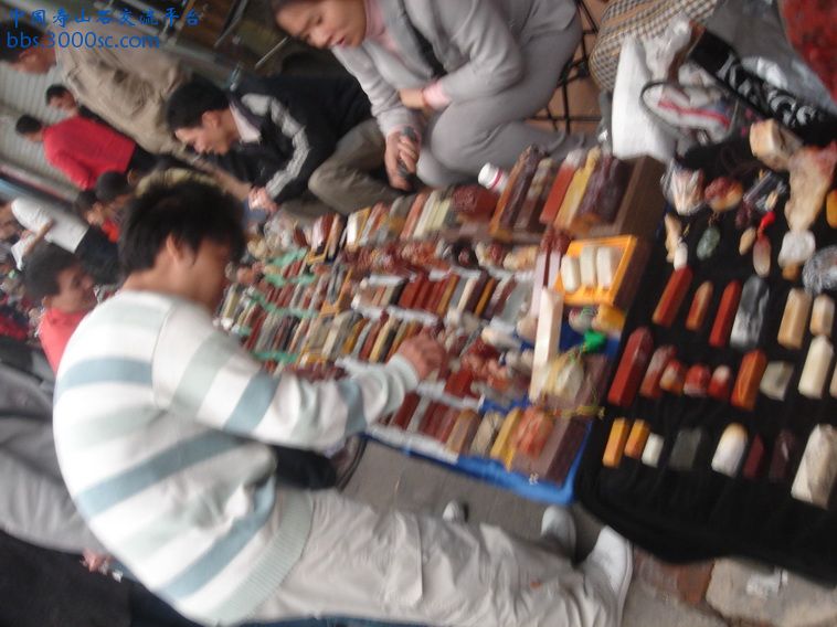 DSC01366_调整大小.JPG