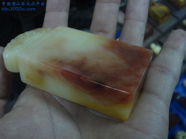 DSC01352_调整大小.JPG