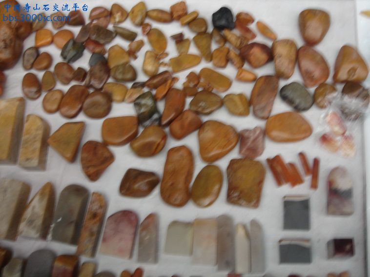 DSC01367_调整大小.JPG