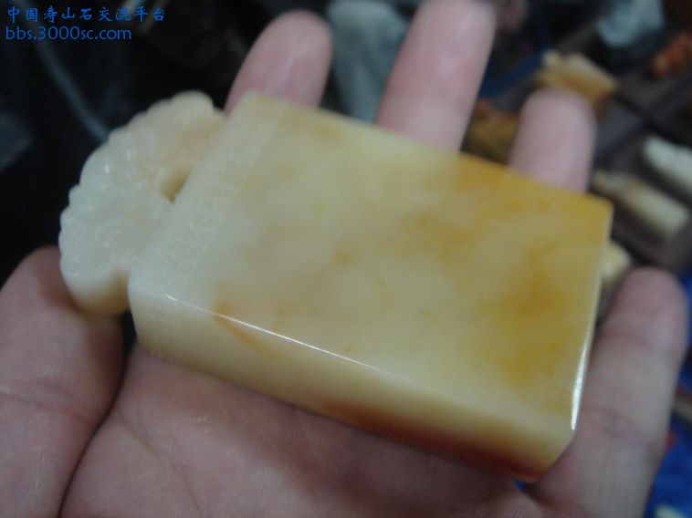 DSC01349_调整大小.JPG