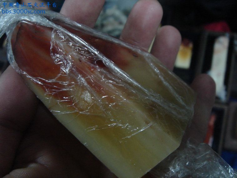 DSC01360_调整大小.JPG