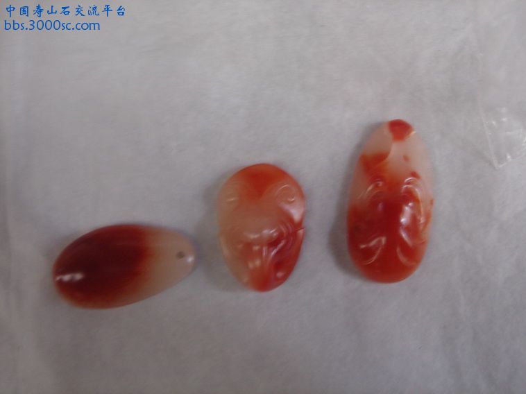 DSC01365_调整大小.JPG