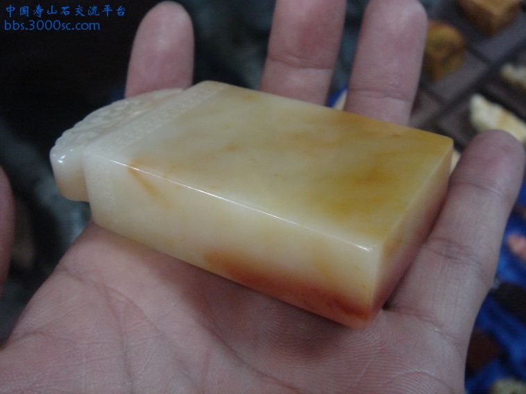 DSC01351_调整大小.JPG