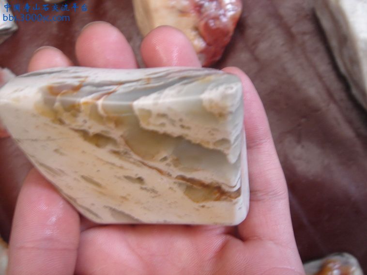 DSC01369_调整大小.JPG