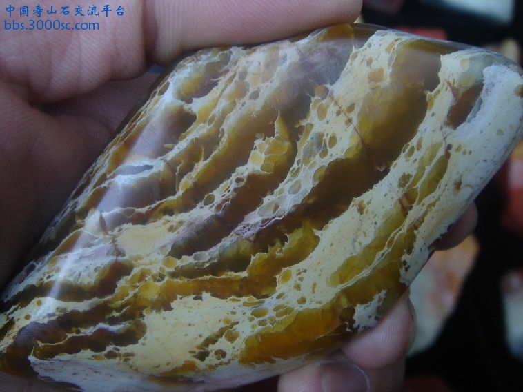 DSC01659_调整大小.JPG