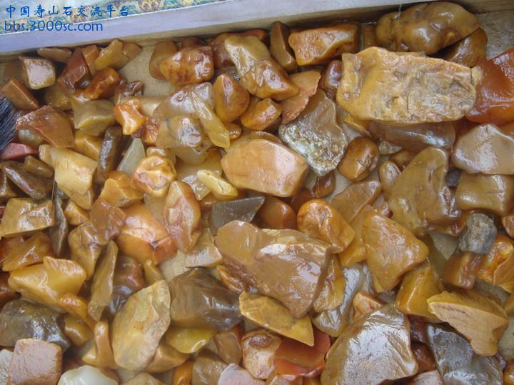 DSC01668_调整大小.JPG