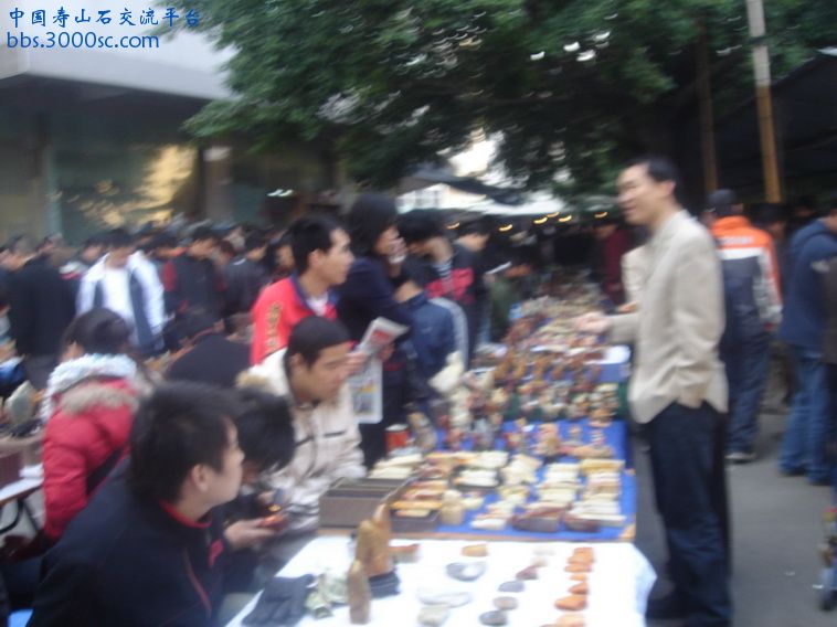 DSC01690_调整大小.JPG