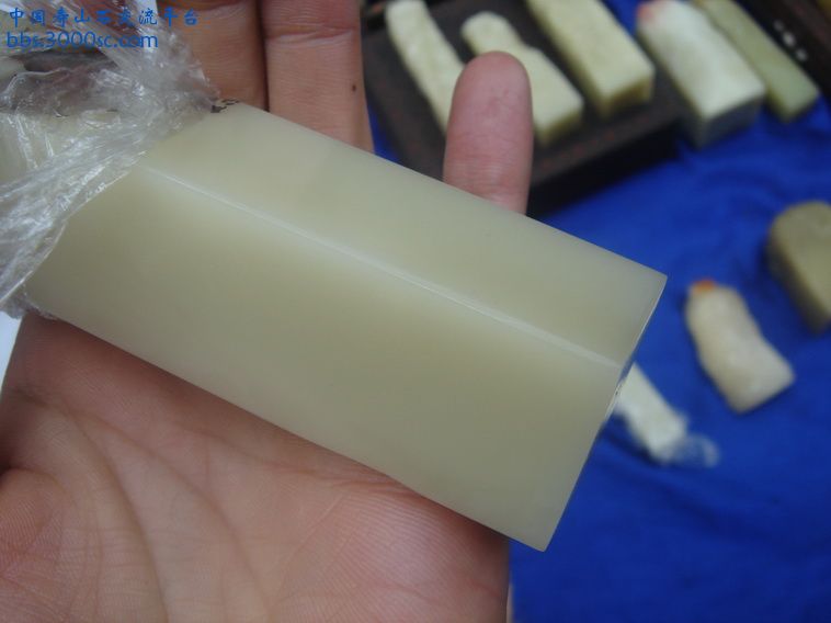 DSC01685_调整大小.JPG