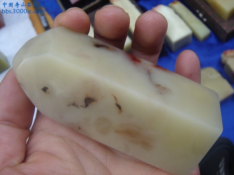 DSC01687_调整大小.JPG
