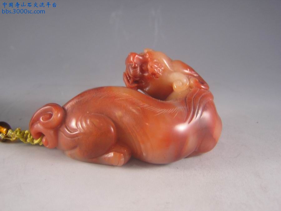 调整大小 P1010087.JPG