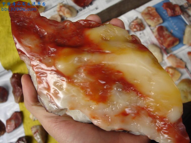 DSC02036_调整大小.JPG