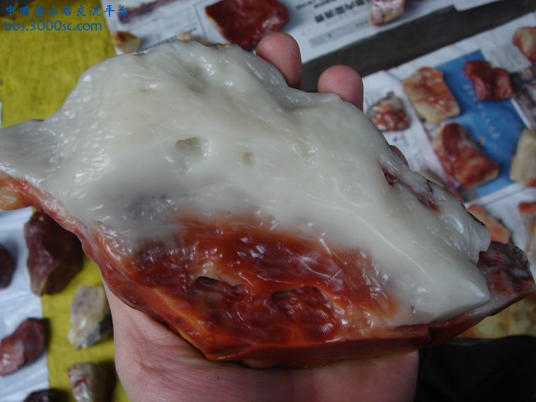 DSC02035_调整大小.JPG