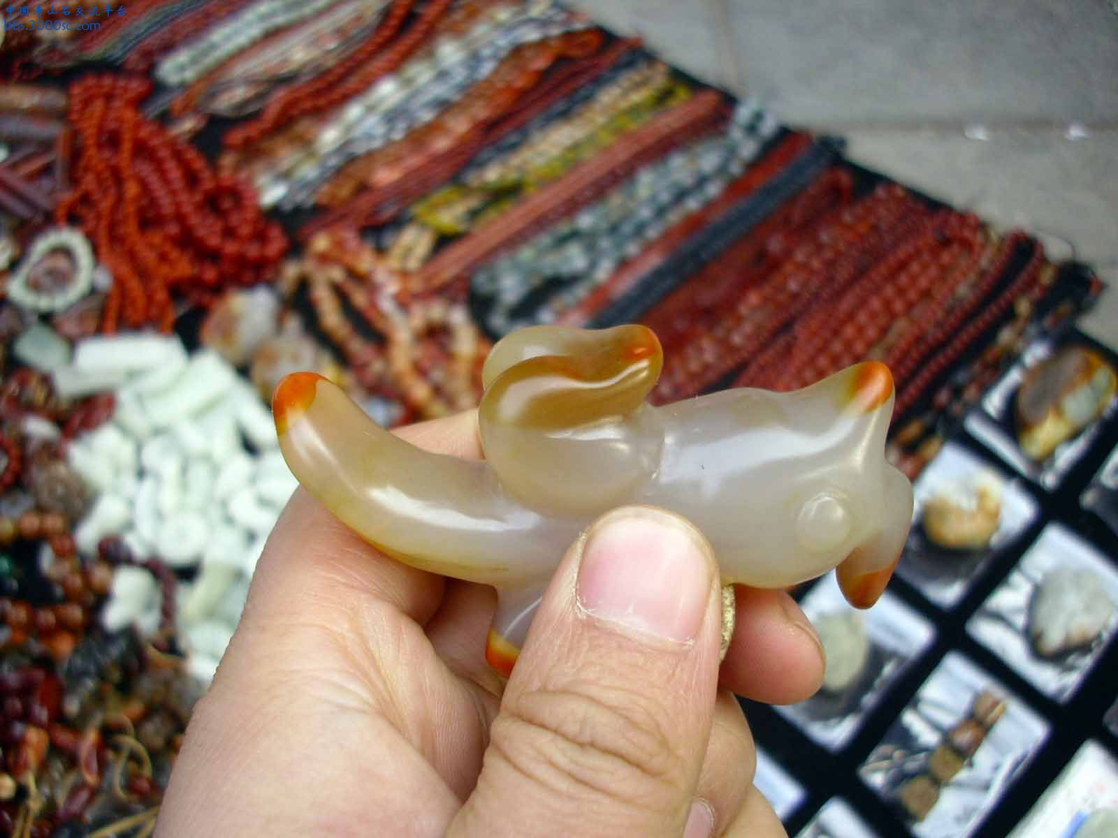 DSCI0095.JPG