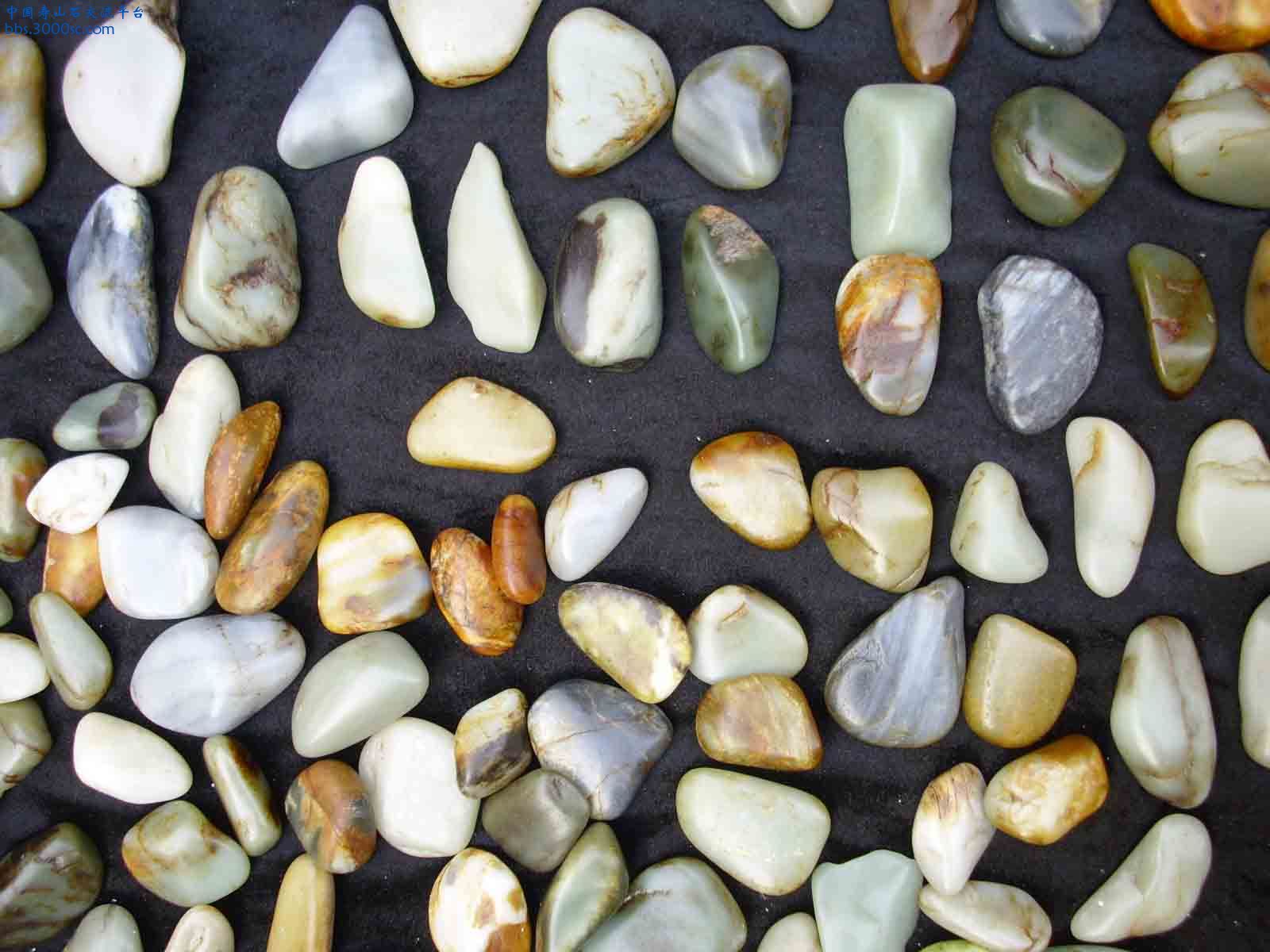 DSCI0103.JPG