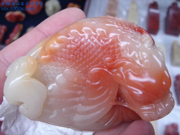 DSC02171_调整大小.JPG