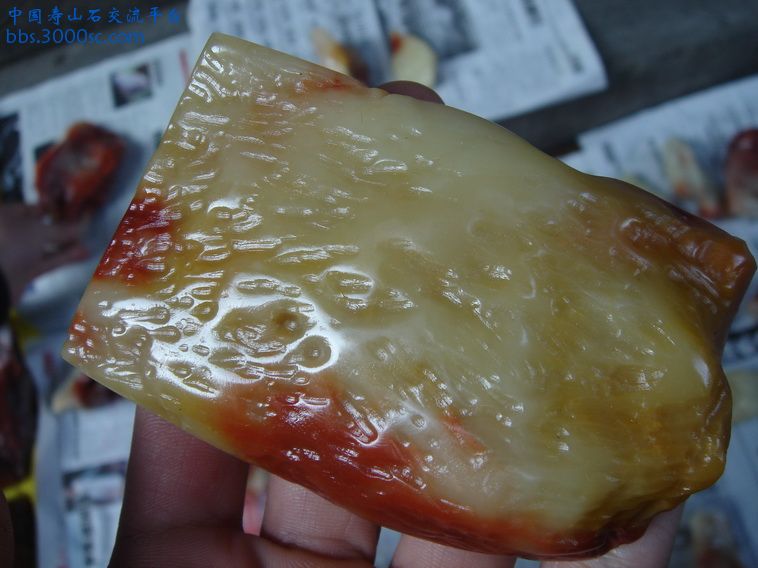DSC02228_调整大小.JPG
