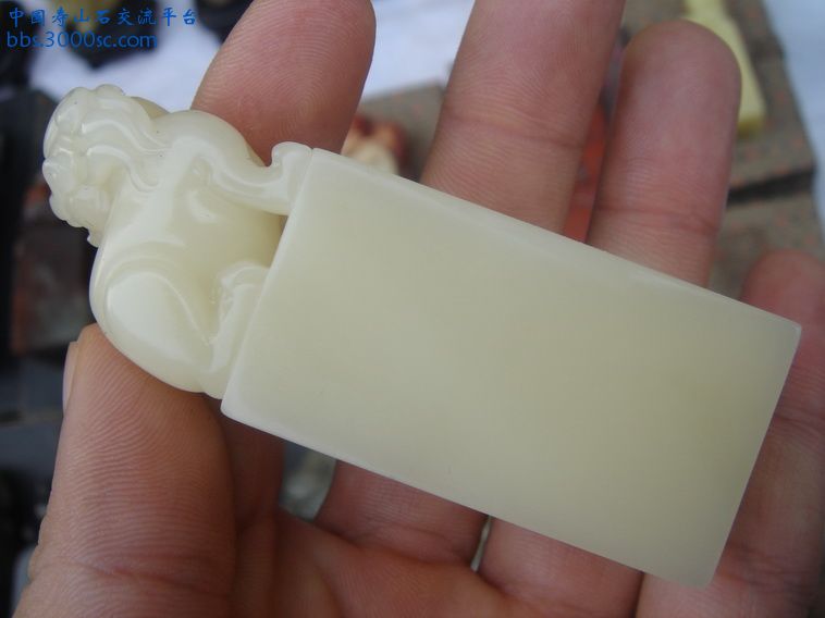 DSC02317_调整大小.JPG