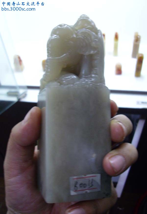 DSCI0367.JPG