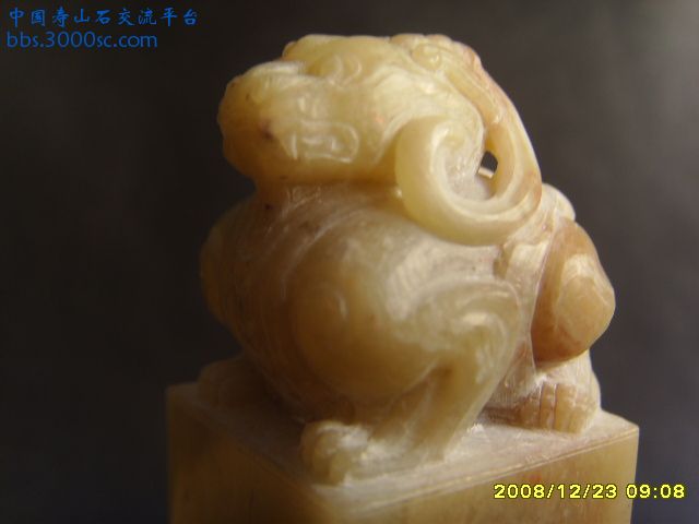 SSL20979.JPG