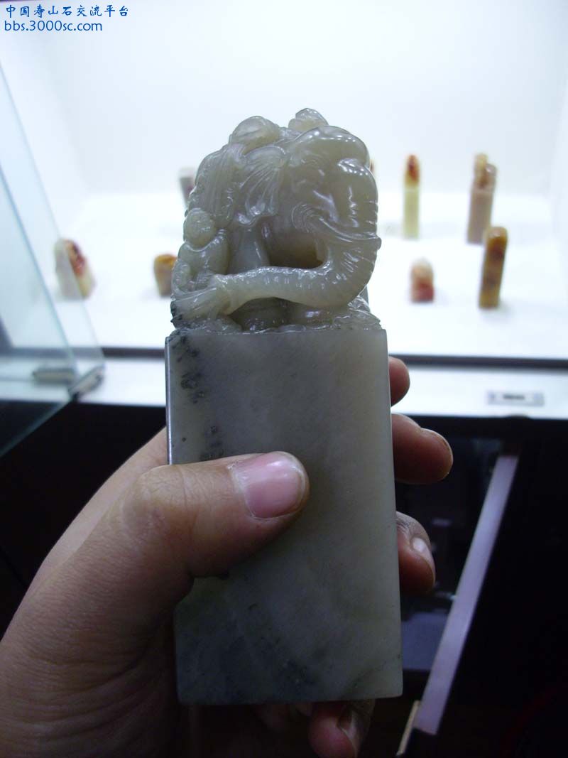 DSCI0366.JPG